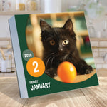 2026 TF Publishing 5.25" x 5.25" Daily Day-to-Day Calendar, (26-3002)