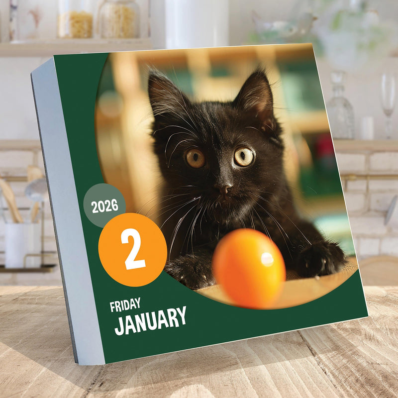 2026 TF Publishing 5.25" x 5.25" Daily Day-to-Day Calendar, (26-3002)