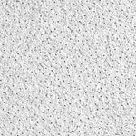 Armstrong CIRRUS High NRC Tegular Edge Ceiling Tile, 24" x 24", White, 10/Carton (BP556E)