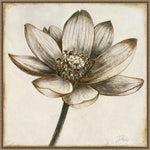 Amanti Art Sepia Lotus Blossom II by Patricia Pinto Framed Canvas Wall Art Print, 30" x 30" (A42678299854)