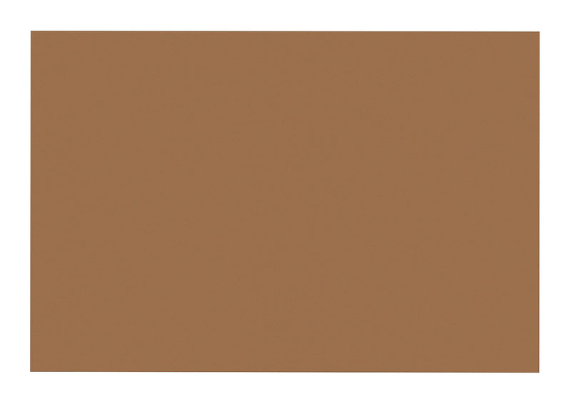 Prang 12" x 18" Construction Paper, Light Brown, 50 Sheets/Pack (P6907-0001)