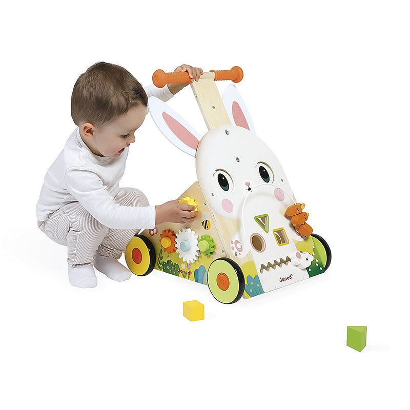 Janod Farm Multi-Activity Baby Walker, Multicolored (J03326)