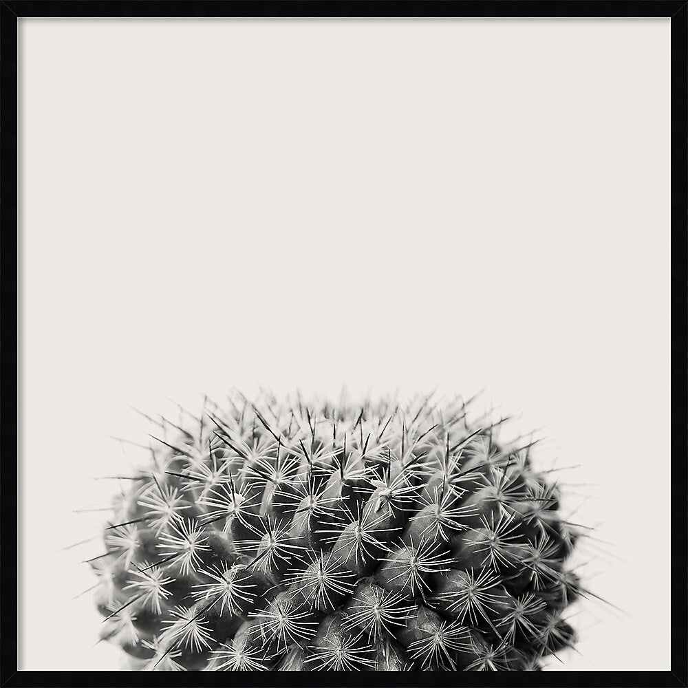 Amanti Art Haze Cactus Succulent by The Creative Bunch Studio Wood Framed Wall Art Print, 33" x 33" (A42675345780)