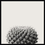 Amanti Art Haze Cactus Succulent by The Creative Bunch Studio Wood Framed Wall Art Print, 33" x 33" (A42675345780)