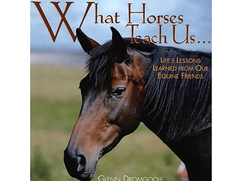 What Horses Teach Us, Hardcover
