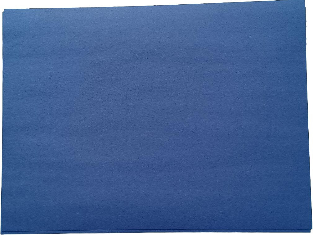 American Paper 12" x 18" Construction Paper, Blue, 50 Sheets/Pack (CP12BL)