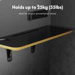 Flexispot Quick Install Series Solo Pro Sound Absorbing Privacy Booth, Black (EP1SB)
