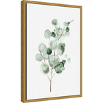 Amanti Art Tender Sprout II (Eucalyptus) by Eva Watts Framed Canvas Wall Art Print, 16" x 23" (A42675040761)