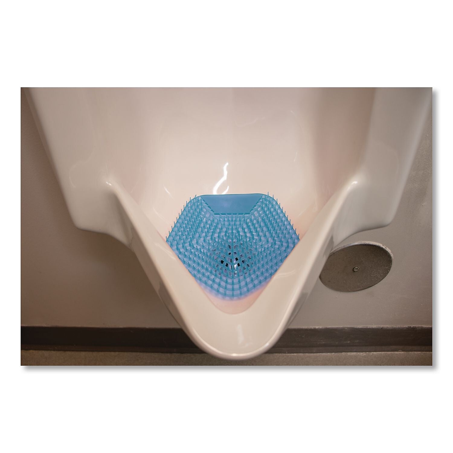 Boardwalk Anti-Splash Urinal Screen, Clean Cotton Scent, Blue, 10/Box (WCBX-P-010I010I-06-AAS80-)