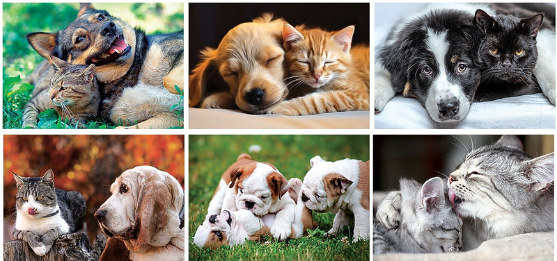 2025 Furry Friends Wall Calendar Stapled, Qty 100
