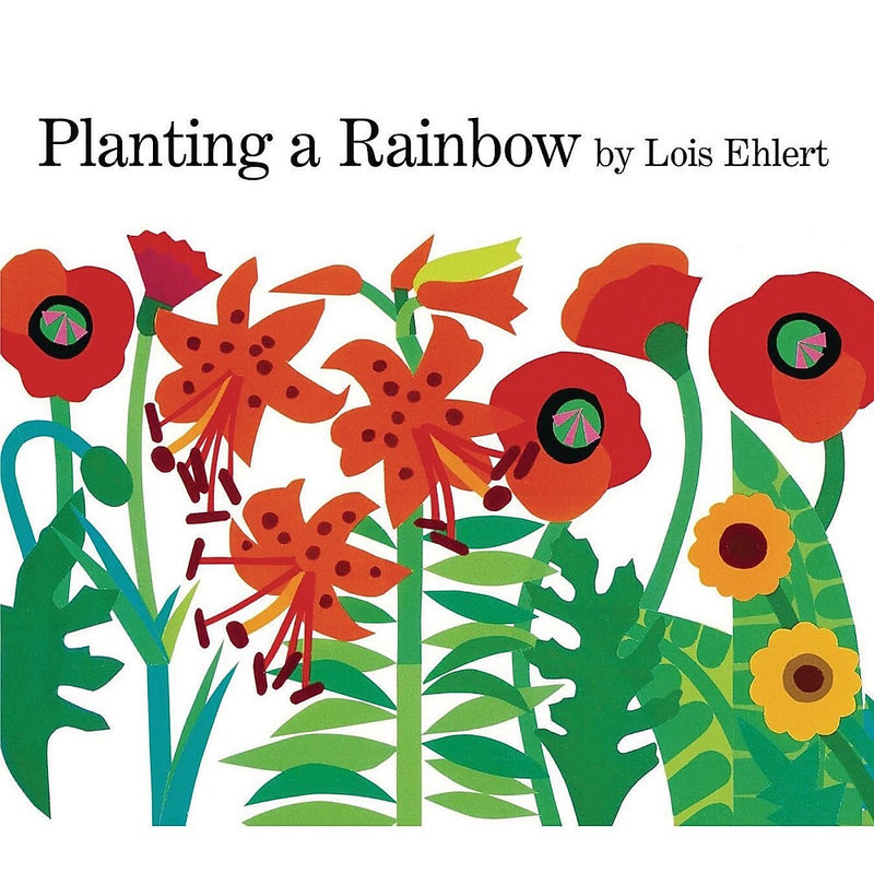 S&S Planting a Rainbow Creative Reads Book & Activity Kit (LR4562)