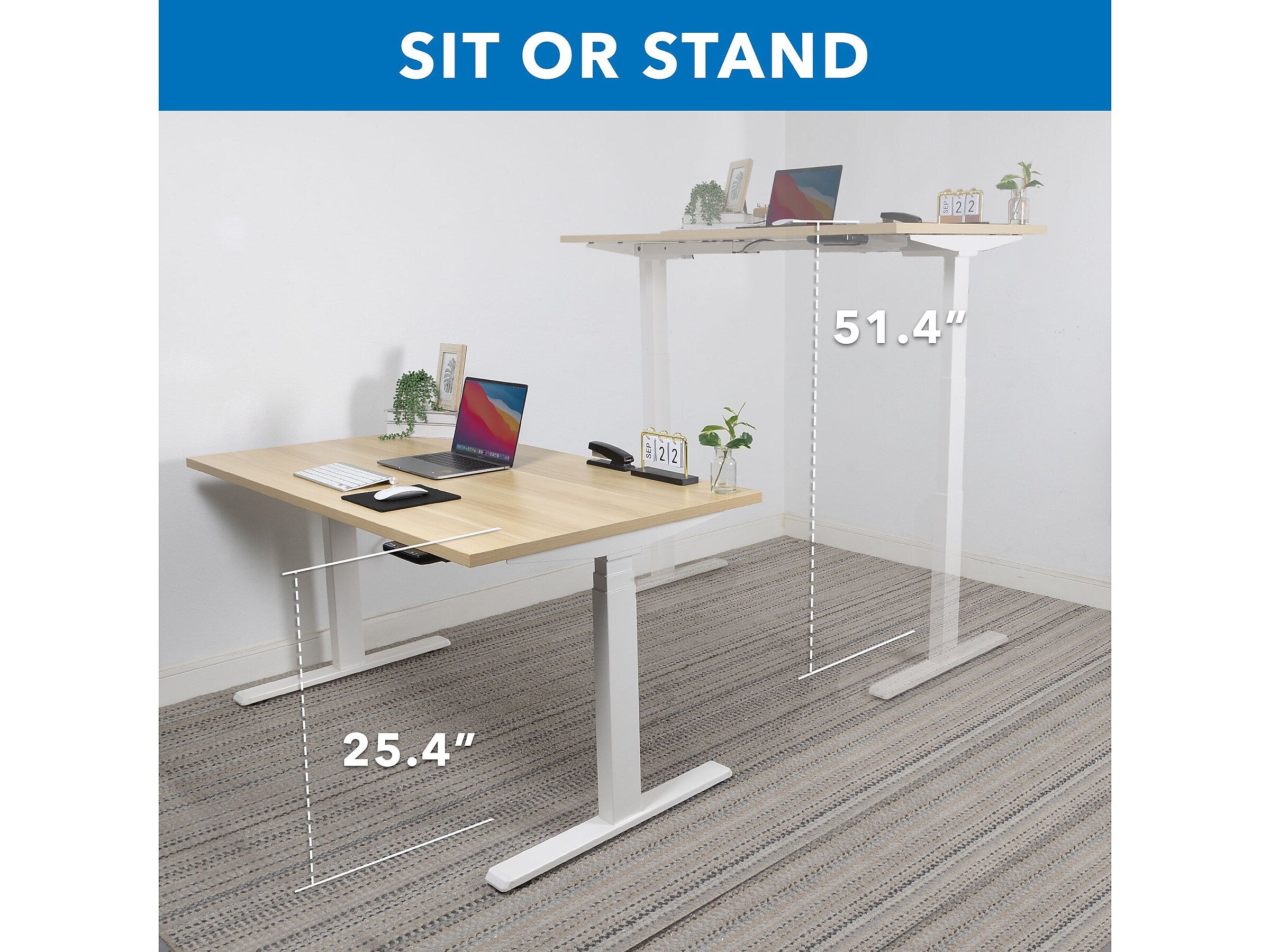 Mount-It! Ultimate 55"W Electric Rectangular Adjustable Standing Desk, Maple/White (MI-18077)