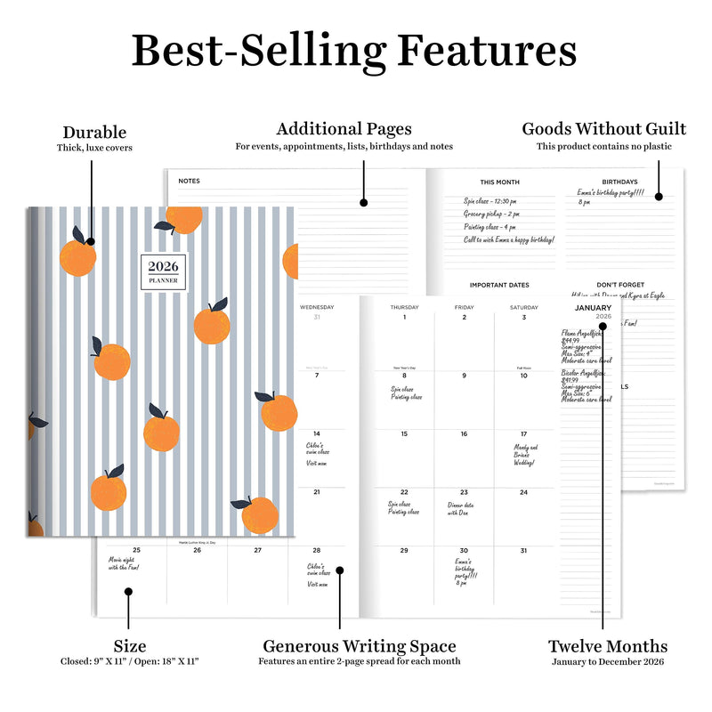 2026 TF Publishing Seriously Citrus 9" x 11" Monthly, Paperboard Cover, Multicolored (26-4706)