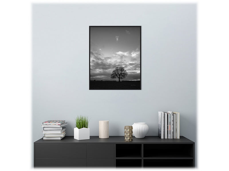 Amanti Art Horizon Tree BW, Canvas, 23" x 28" (A42675515097)