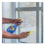 Streak-Free Glass Cleaner, Pleasant Scent, 32 Oz Spray Bottle, 12/carton