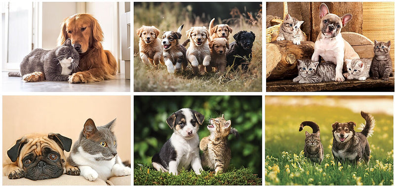 2025 Furry Friends Wall Calendar Stapled, Qty 750