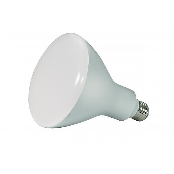 Satco 11.5 Watt Soft White LED Flood & Spot Bulb, 6/Carton (S9634)