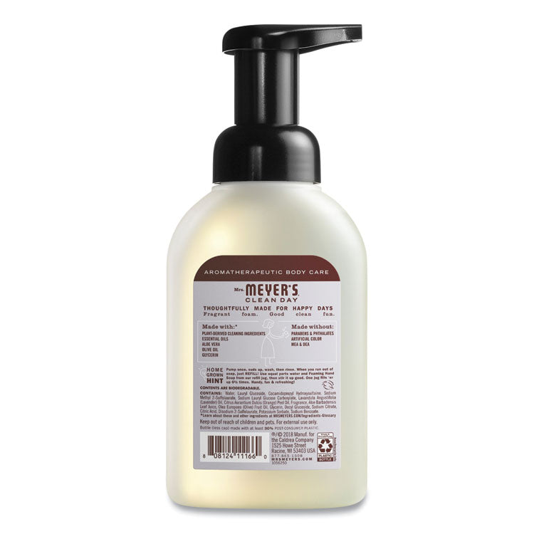 Foaming Hand Soap, Lavender Scent, 10 oz