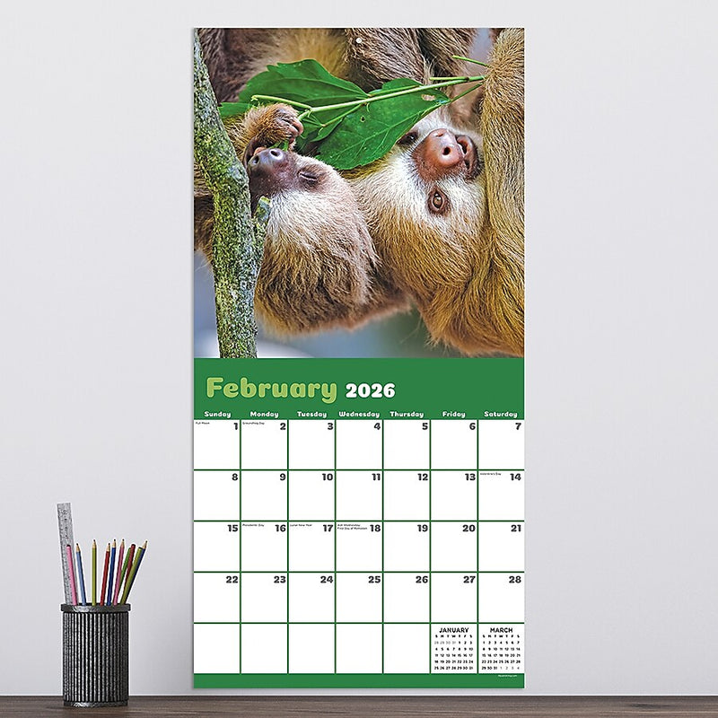 2026 TF Publishing Sloths 12" x 12" Monthly Wall Calendar (26-1045)