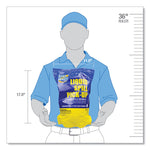 Sorbent, 4 qt, 3 lb Bag