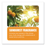 Metered Concentrated Room Deodorant, Sunburst Scent, 7 Oz Aerosol Spray, 12/carton
