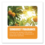 Aerosol Room Deodorant, Sunburst Scent, 15 Oz Can, 12/carton