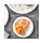PLATE,EARTHCHOICE 6",NT