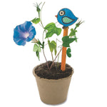 S&S Planting a Rainbow Creative Reads Book & Activity Kit (LR4562)