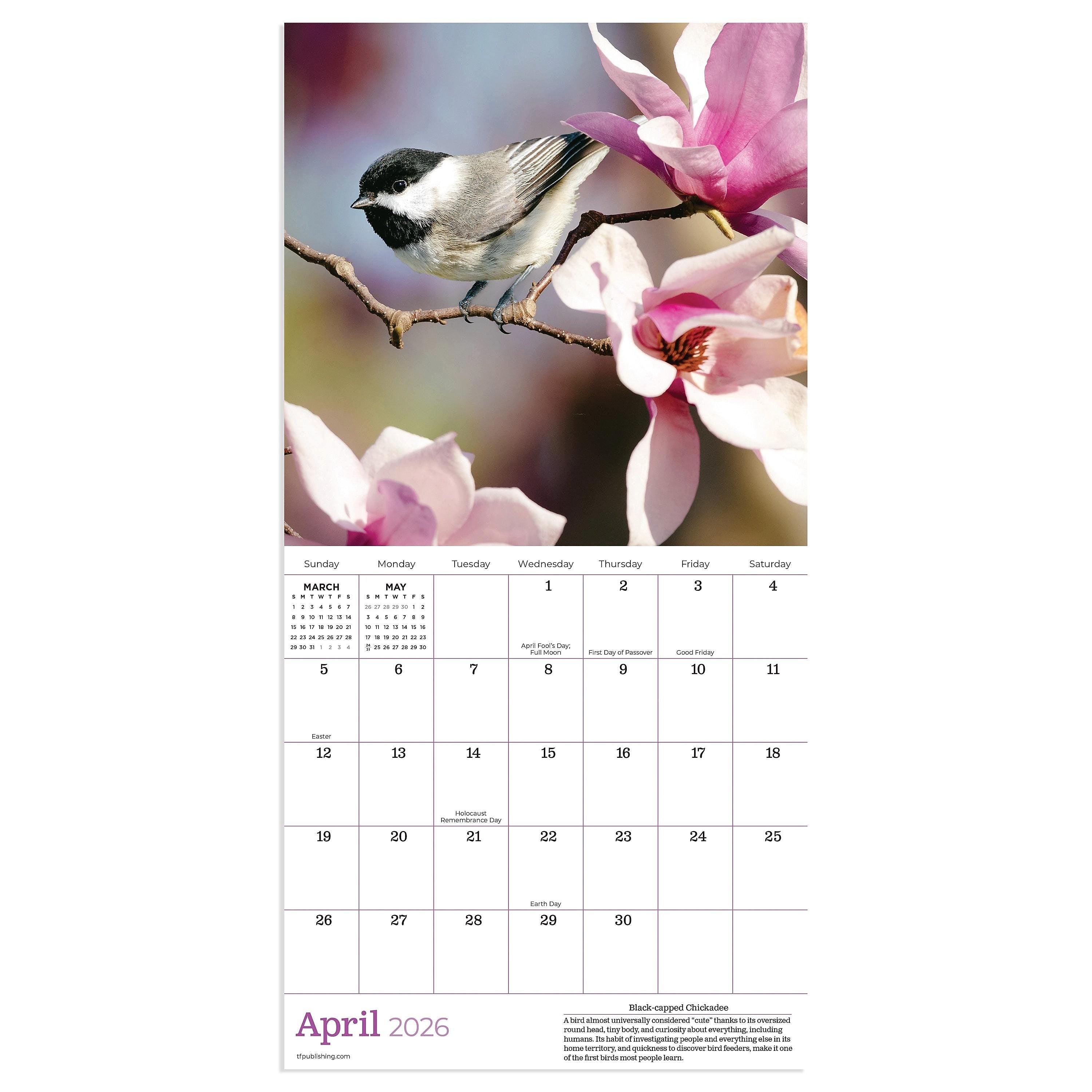 2026 TF Publishing 12" x 17" TF Publishing 7" x 7" Backyard Birds Mini Calendar 26-2013