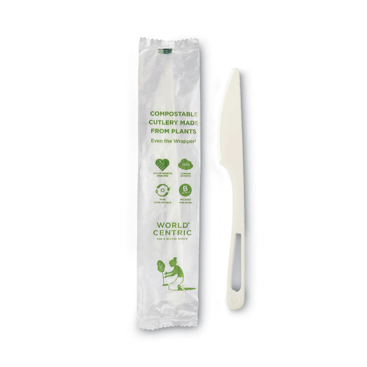 TPLA Compostable Cutlery, Knife, Plastic, White, 750/Carton