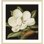 Amanti Art Magnolia Grandiflora 2003 by Jenny Barron Wood Framed Wall Art Print, 31" x 33" (A42675530231)