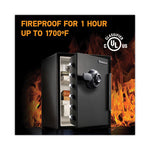 Fire-Safe With Combination Access, 2 Cu Ft, 18.6w X 19.3d X 23.8h, Black