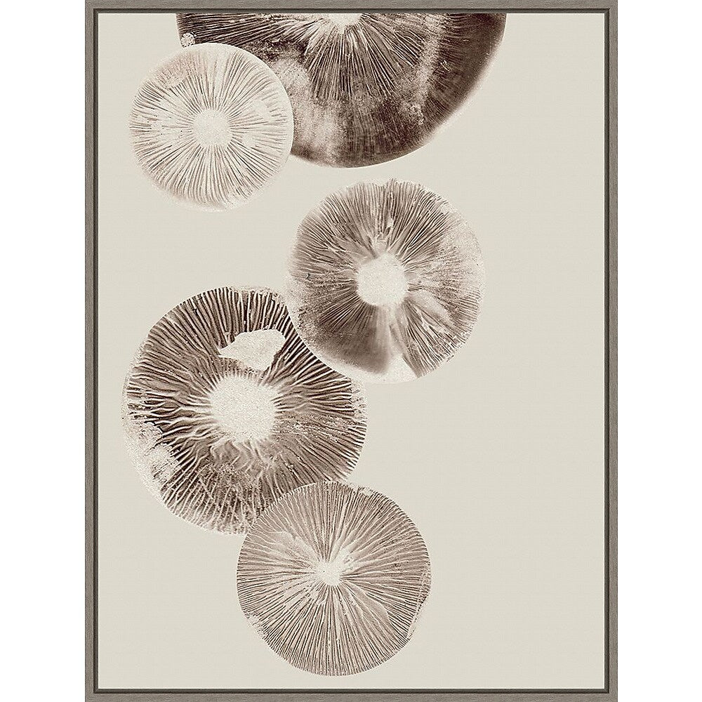 Amanti Art Mushroom 6 Light Brown by Pernille Folcarelli Framed Canvas Wall Art Print, 32" x 42" (A42677747977)
