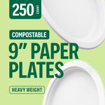 Perk™ Eco Compostable Paper Plates, 9", White, 250/Pack (PK61287)