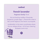 Foaming Hand Wash, French Lavender Scent, 10 oz, 6/Carton