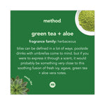 Foaming Hand Wash, Green Tea and Aloe Scent, 10 oz
