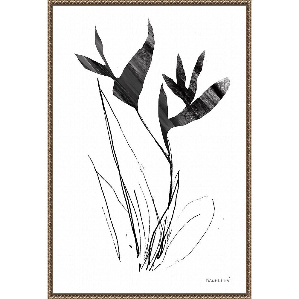 Amanti Art Paradise Botanicals I by Danhui Nai Framed Canvas Wall Art Print, 23" x 33" (A42678302435)
