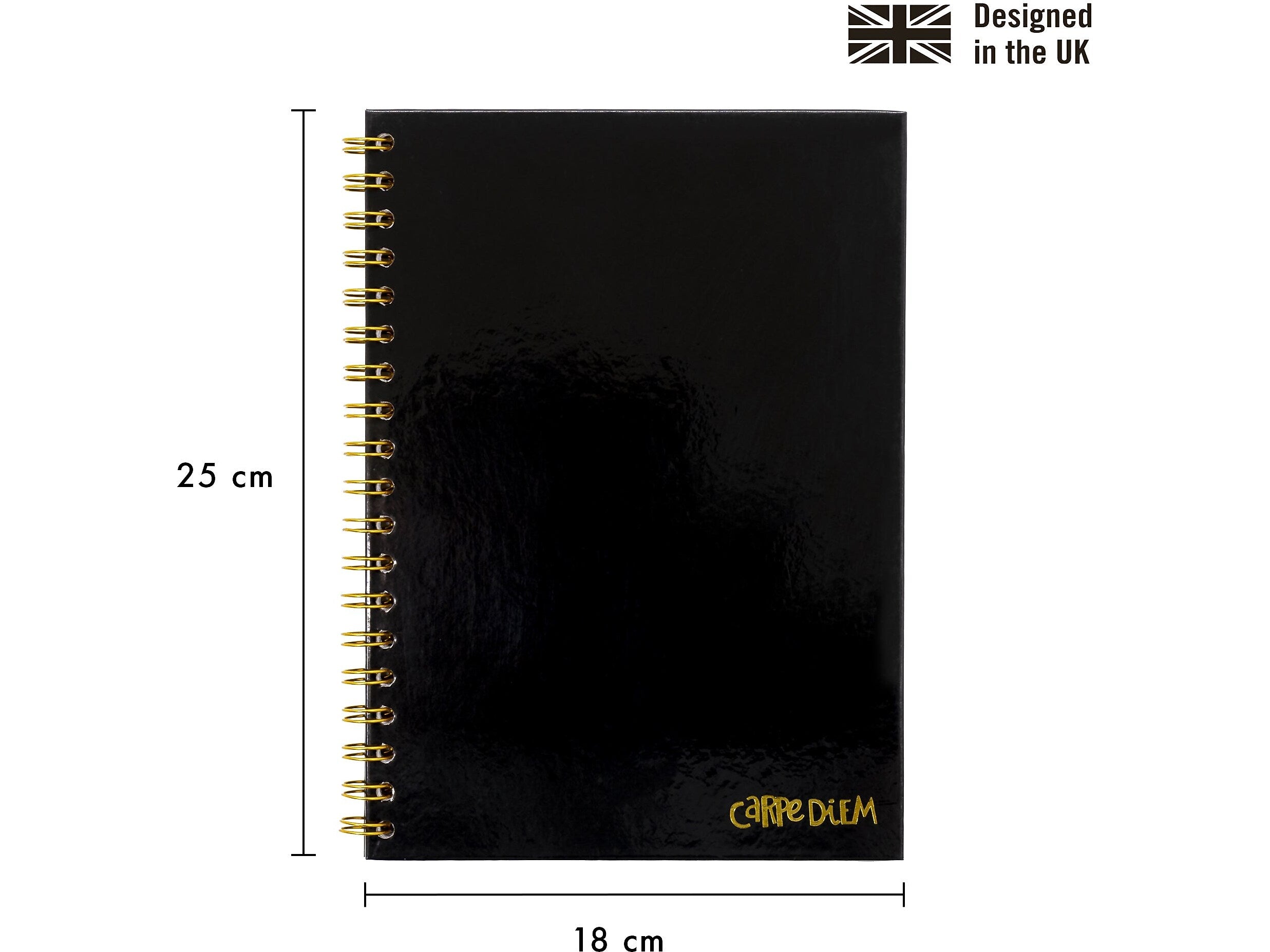 Carpe Diem 1-Subject Notebook, 7.5" x 9.75", Wide-Ruled, 80 Sheets, Black (9375-CD)