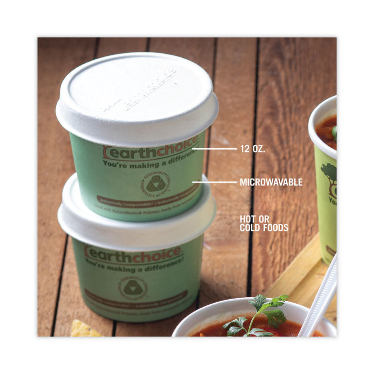 EarthChoice Compostable Soup Cup, Medium, 12 oz, 3.63" Diameter x 3.63" h, Teal, Paper, 500/Carton