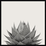 Amanti Art Haze Aloe Succulent by The Creative Bunch Studio Wood Framed Wall Art Print, 33" x 33" (A42675345777)