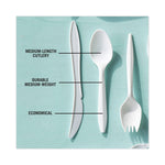 Fieldware Cutlery, Mediumweight Spoon, Plastic, White, 1,000/Carton