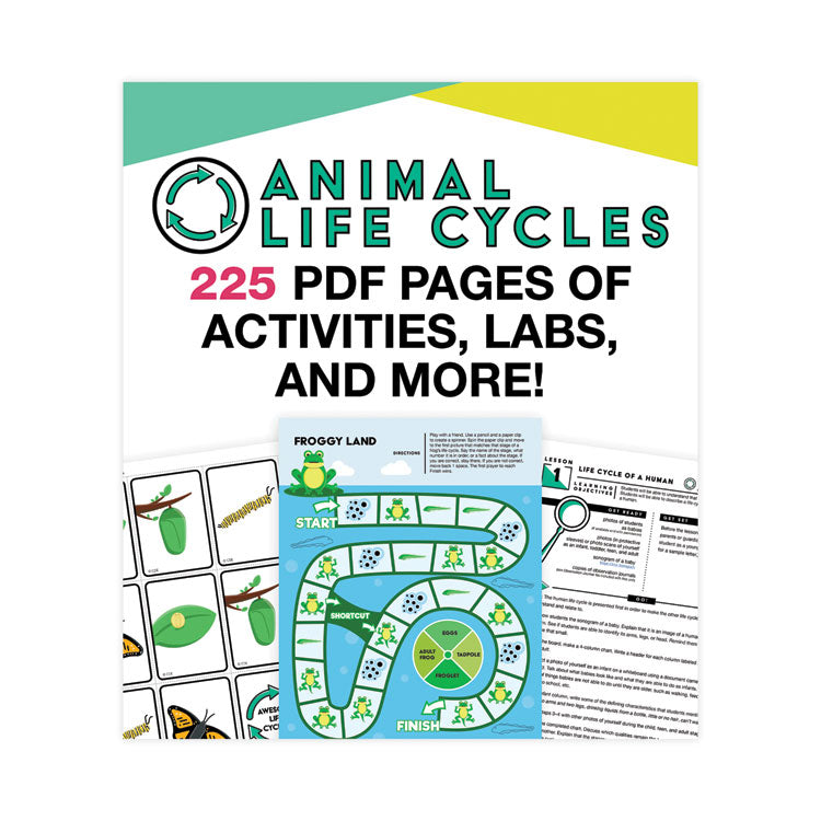 In a Flash USB, Animal Lifestyles, Ages 5-8, 225 Pages