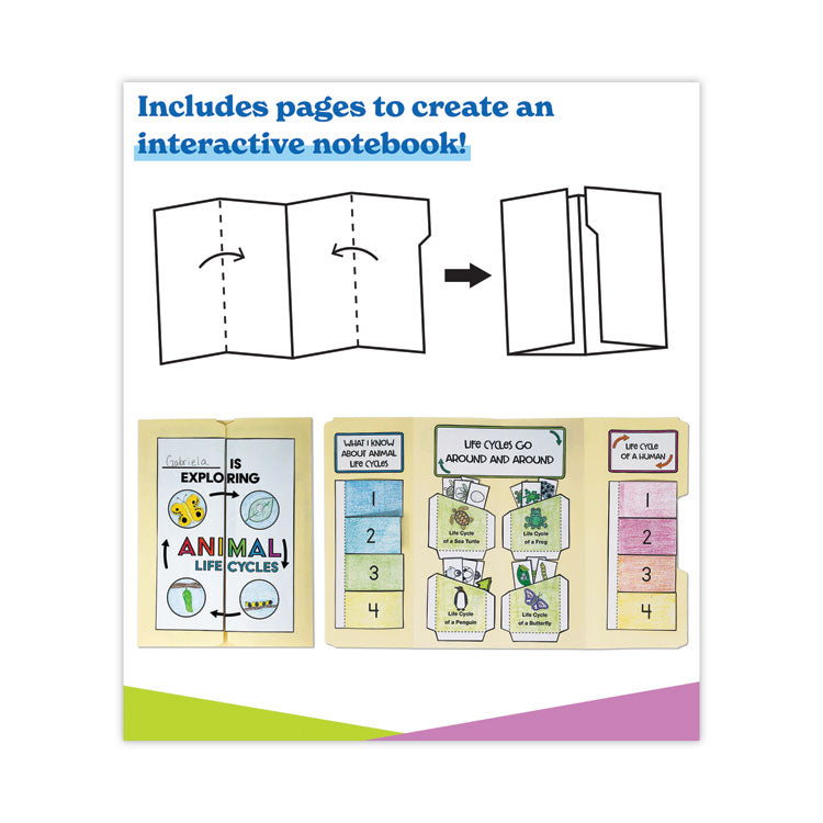 In a Flash USB, Animal Lifestyles, Ages 5-8, 225 Pages