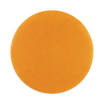 Cleaning/abrasion Drive Plate, 20"