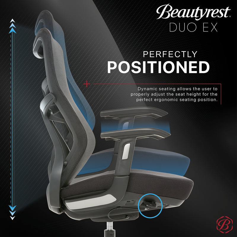 Beautyrest Duo-EX Ergonomic Mesh Swivel Task Chair, Black/Gray (60051GRY)