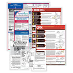 ComplyRight Federal, State and Restaurant (English) Labor Law Poster Set, Puerto Rico (E50PRREST)