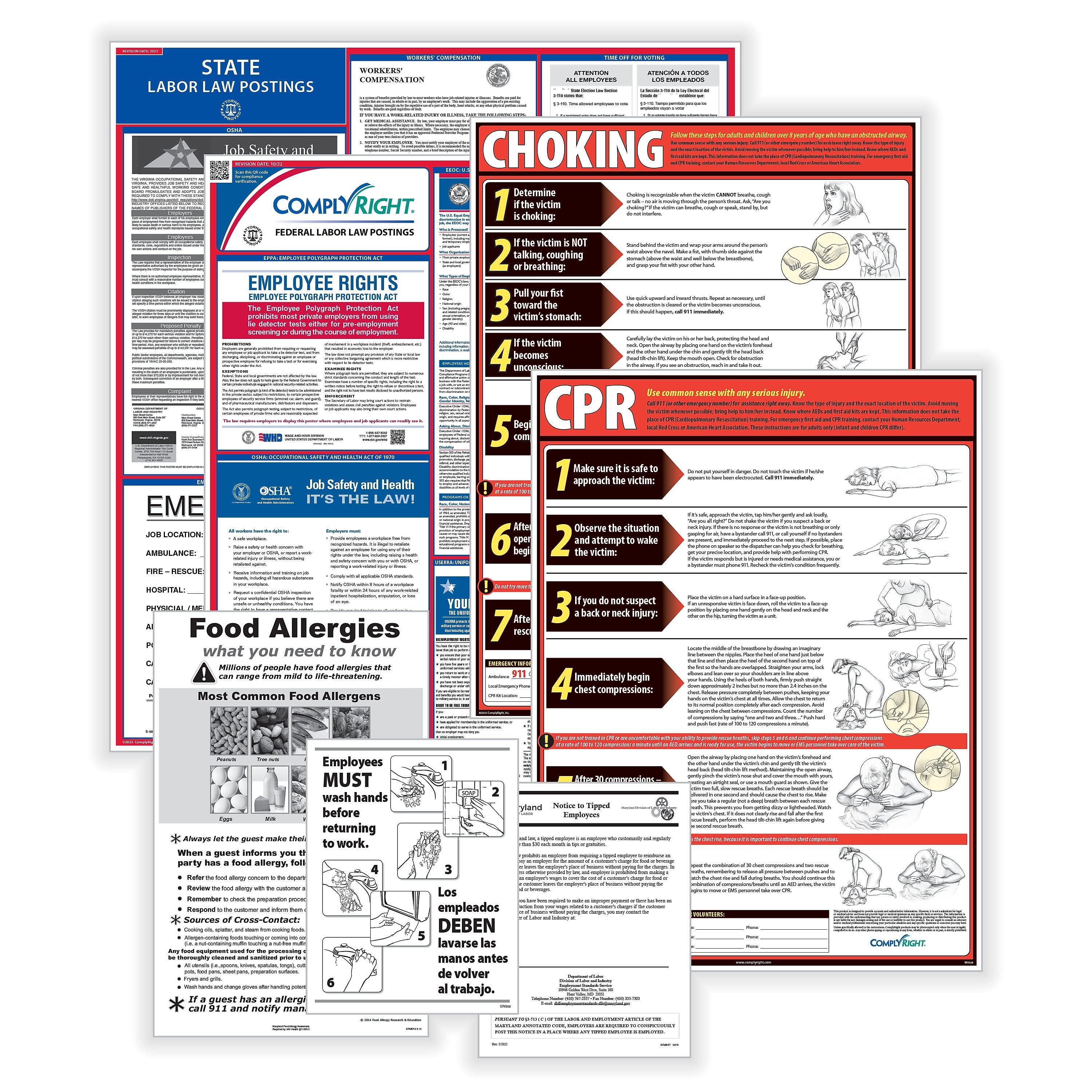 ComplyRight Federal, State and Restaurant (English) Labor Law Poster Set, Puerto Rico (E50PRREST)