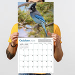 2026 TF Publishing Backyard Birds 12" x 12" Monthly Wall Calendar, Multi (26-1033)