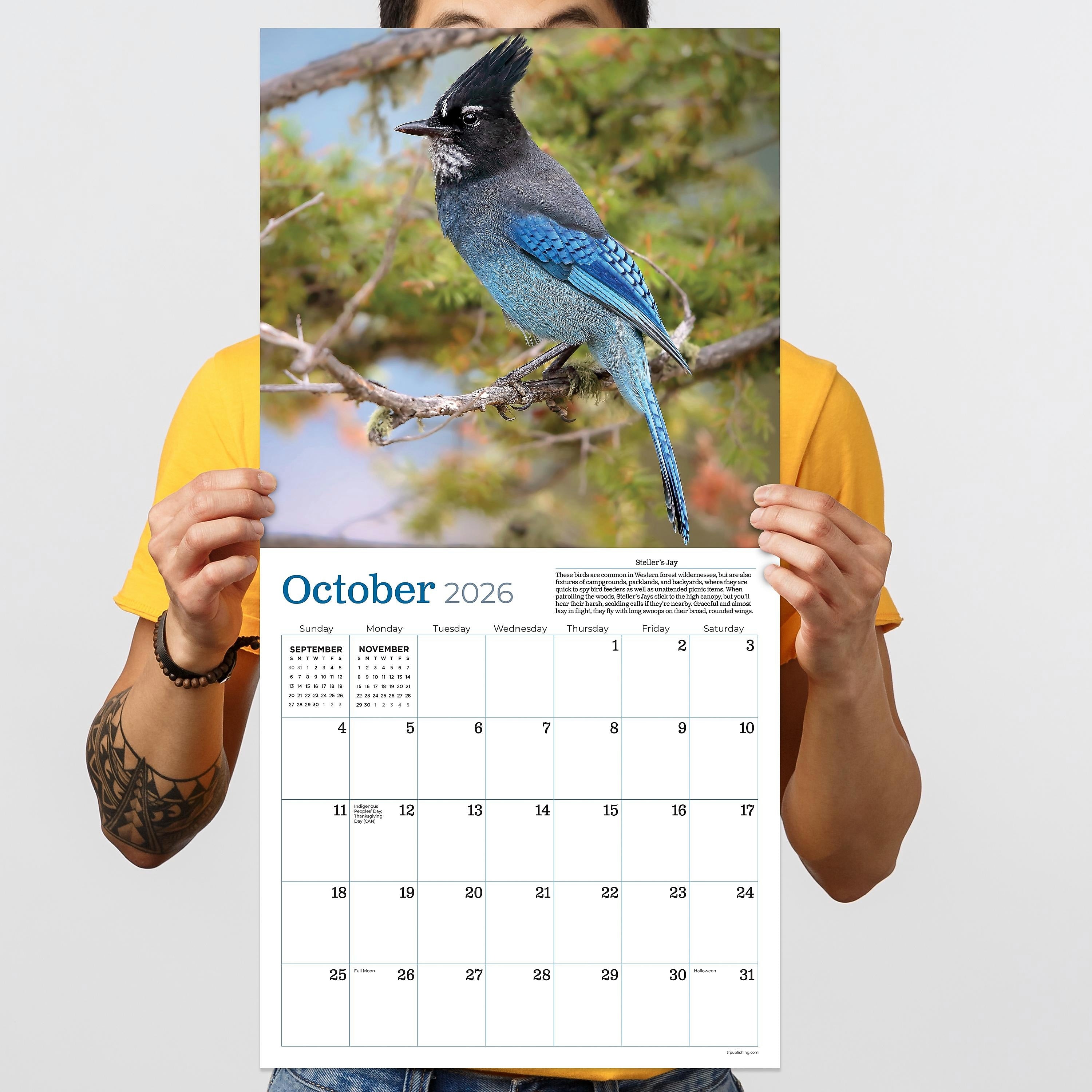 2026 TF Publishing Backyard Birds 12" x 12" Monthly Wall Calendar, Multi (26-1033)