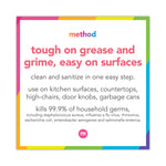 Antibac All-Purpose Cleaner, Wildflower, 28 Oz Spray Bottle